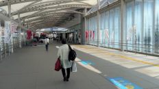 78573-1.jpg