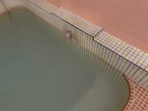 78577-1.jpg