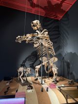 78593-1.jpg