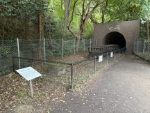 78594-1.jpg