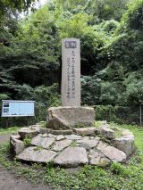 78594-2.jpg