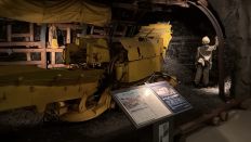 78595-1.jpg