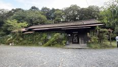 78621-2.jpg