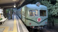 78625-1.jpg
