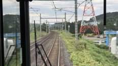 78633-2.jpg