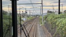 78633-3.jpg