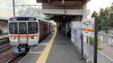 78663-1.jpg