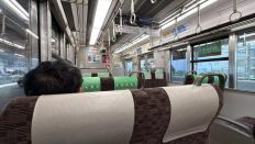 78680-3.jpg