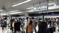 78766-1.jpg