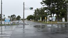 78790-2.jpg