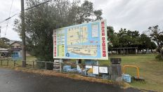 78793-2.jpg