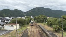 78815-1.jpg