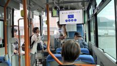 78816-3.jpg