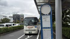 78854-1.jpg