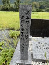 78883-3.jpg