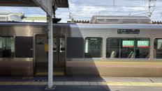 78910.jpg