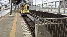 78920-3.jpg
