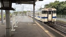 78926-2.jpg