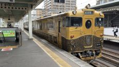 78930-1.jpg