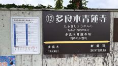 78949-2.jpg