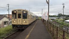 78949-3.jpg
