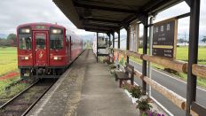 78950-3.jpg