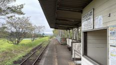 78951-1.jpg