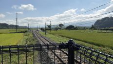 78955-3.jpg
