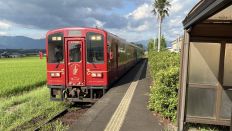 78970-2.jpg