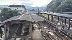 78971-2.jpg