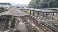 78974-5.jpg