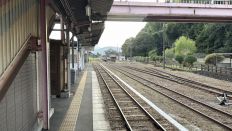78976-2.jpg