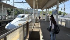 79010-4.jpg
