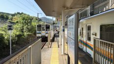 79010.jpg