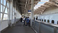 79011-1.jpg