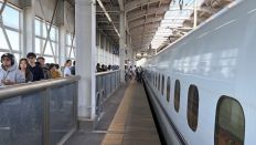 79011.jpg