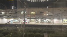 79033-2.jpg