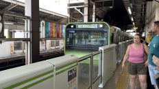 79053.jpg