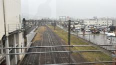 79305-1.jpg