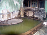 8d9478c5.jpg