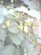 040802_0657~001.jpg