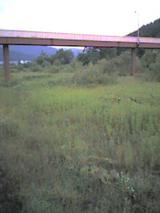 040803_1233~001.jpg