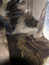 dcf1b3f6.jpg